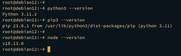 comprobar python pip node.js