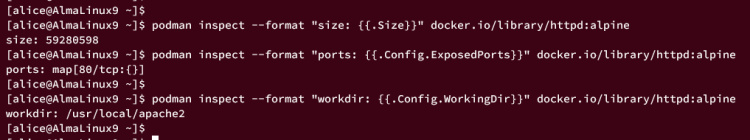inspeccionando la imagen