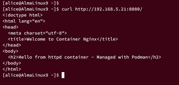 acceso al contenedor