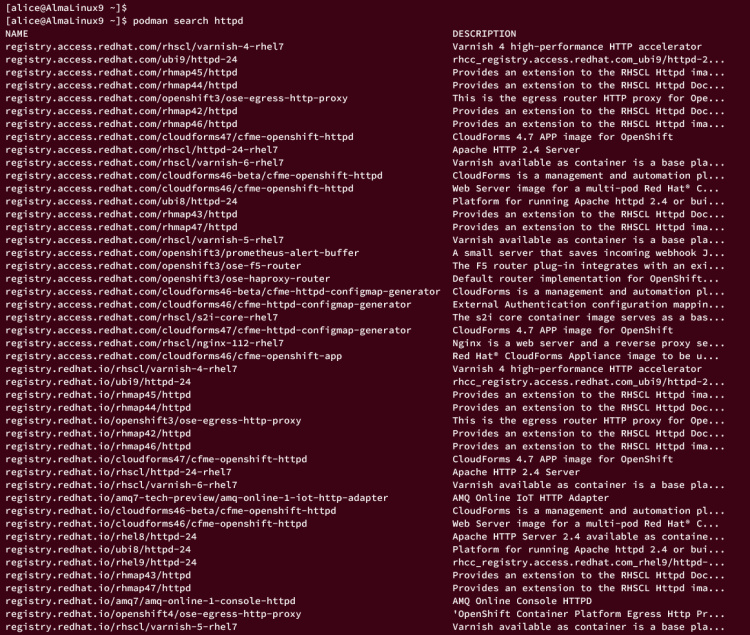 contenedor de búsqueda