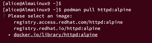 seleccionar registro de contenedores