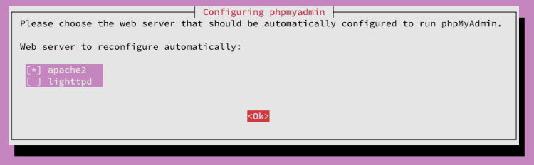 selecciona apache2 como servidor web