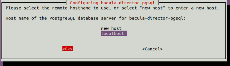 Host de la base de datos PostgreSQL