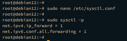 activar el reenvío de puertos