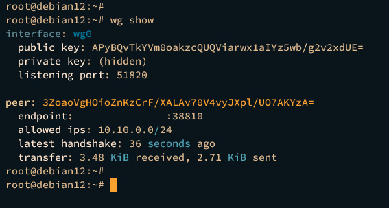 mostrar conexiones wireguard