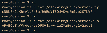mostrar clave de servidor
