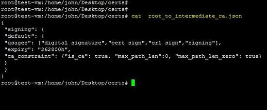 Configurar la CA intermedia