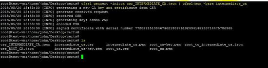 crear una CA intermedia con la configuración mencionada
