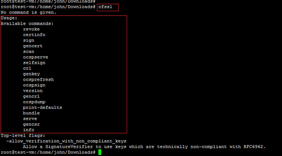 Ejecuta el comando cfssl