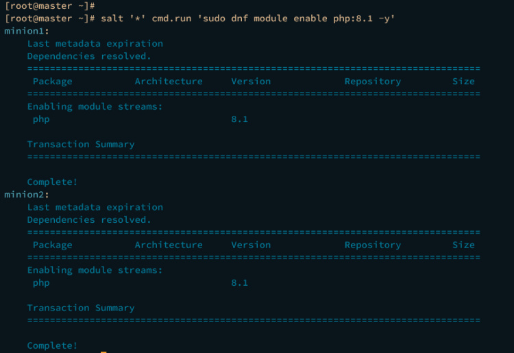 activar el módulo repo mediante salt