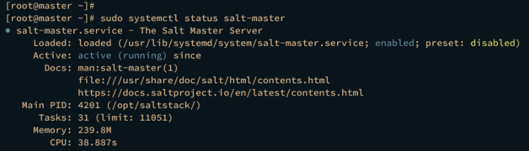 comprobar maestro-sal
