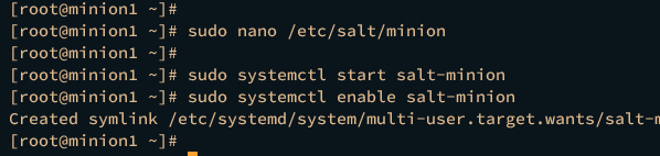 start enable sal-minion