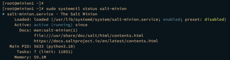 comprobar sal-minión