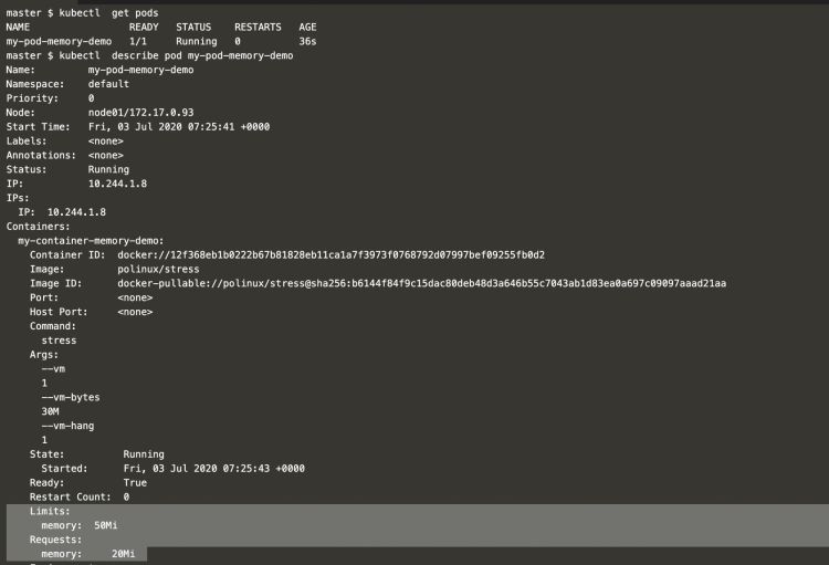 describir-el-podo-y-comprobar-la-memoria