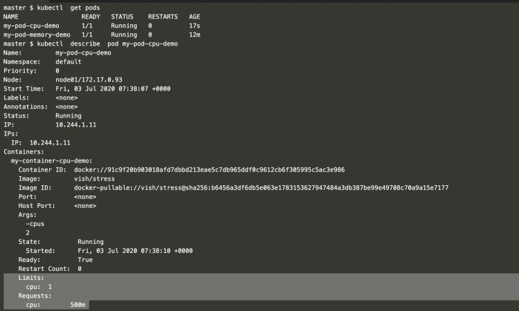 describir-el-podo-y-comprobar-la-cpu