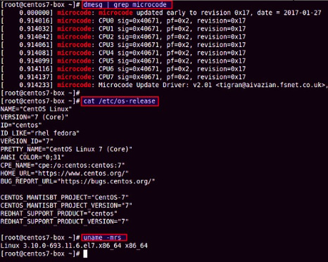 averiguar el estado actual del microcódigo