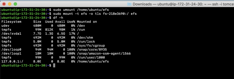 Montar EFS con TLS