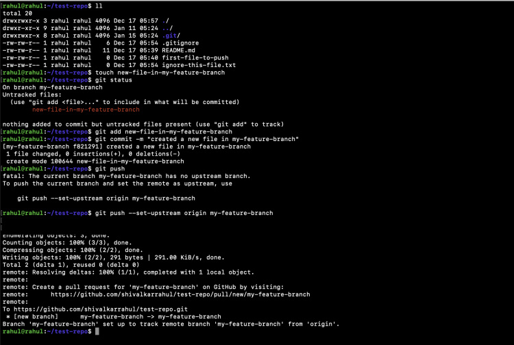 Empuja un commit a la nueva rama