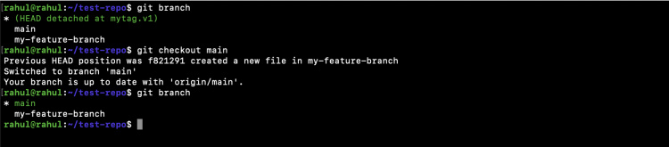 Vuelve a cambiar la rama principal